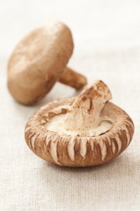 recette pâté végétal aux shiitake