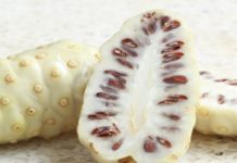 Le Noni de Polynésie