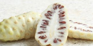 Le Noni de Polynésie