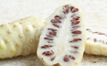 Le Noni de Polynésie