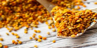 Merveilleux pollen frais ! les bienfaits du pollen frais