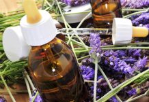 Petit guide des teintures mères et des maladies qu’elles soignent comment utiliser les teintures mères