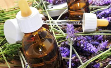 Petit guide des teintures mères et des maladies qu’elles soignent comment utiliser les teintures mères