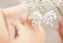 Les phytothérapiques de l’allergie comment soigner les allergies naturellement