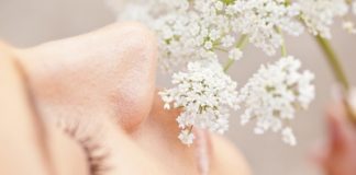 Les phytothérapiques de l’allergie comment soigner les allergies naturellement