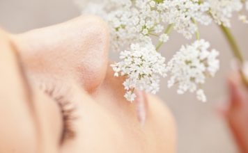 Les phytothérapiques de l’allergie comment soigner les allergies naturellement