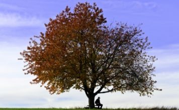 Problèmes psychologiques ? La solution est peut-être homéopathique ! comment soigner les problèmes psychologiques avec l'homéopathie