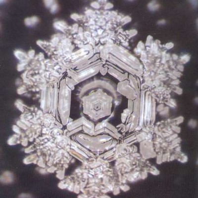 message énergétique de l'eau : découverte du dr emoto