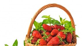 Bio’bulle : La fraise feuilles de menthe