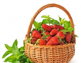 Bio’bulle : La fraise feuilles de menthe