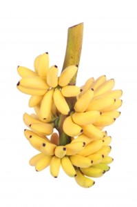 les bienfaits de la banane