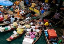 Les traitements naturels de la tourista les traitements naturels de la tourista