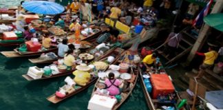 Les traitements naturels de la tourista les traitements naturels de la tourista