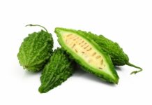 Pour remplacer le sucre : Le melon d’Inde melon d'Inde sucre naturel