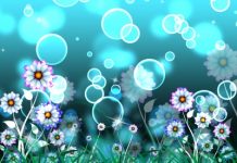 Le coup de fouet des huiles essentielles huiles essentielles stimulantes