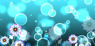 Le coup de fouet des huiles essentielles huiles essentielles stimulantes