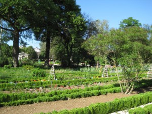 Jardin botanique de l'arquebuse de Dijon