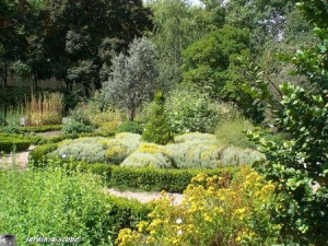 Jardin botanique de Tours