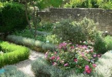 Les merveilleux jardins de plantes médicinales Jardin médiéval d'Uzès