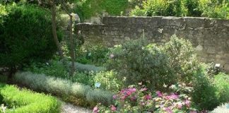 Les merveilleux jardins de plantes médicinales Jardin médiéval d'Uzès