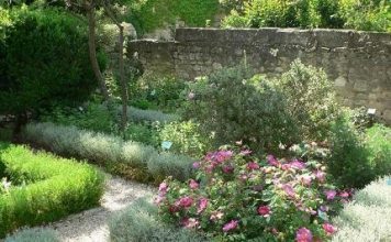 Les merveilleux jardins de plantes médicinales Jardin médiéval d'Uzès