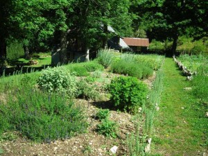 jardin botanique d'arvières