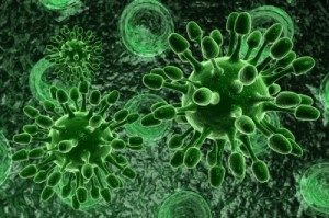 anti-bacterien, anti-viral et antibiotique naturel
