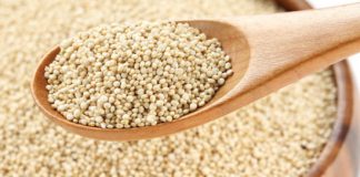 Le Quinoa les vertus du quinoa : recettes végétariennes