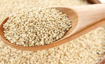 Le Quinoa les vertus du quinoa : recettes végétariennes