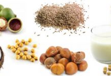 Recettes aux laits végétaux recettes végétariennes aux laits végétaux