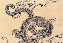 Un fortifiant : la corne de cerf corne de cerf, complément nutritionnel fortifiant de la médecine chinoise