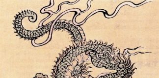 Un fortifiant : la corne de cerf corne de cerf, complément nutritionnel fortifiant de la médecine chinoise