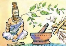 D’étonnants rapports entre l’homéopathie et les médecines tibétaine et ayurvédique medecine ayurvedique indienne