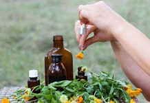 La médecine traditionnelle européenne phytotherapie, medecine traditionnelle