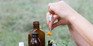 La médecine traditionnelle européenne phytotherapie, medecine traditionnelle