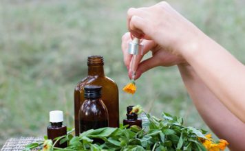 La médecine traditionnelle européenne phytotherapie, medecine traditionnelle