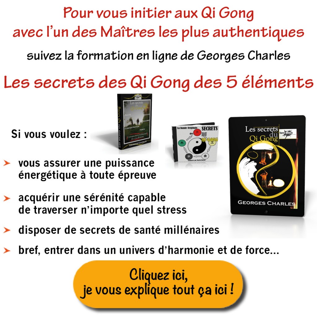 cours de qi gong en ligne