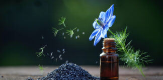 La nigelle, panacée des Égyptiens Huile graines cumin noir nigelle - Reponses Bio