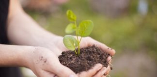 Plantes et semences bio Plantes et semences bio