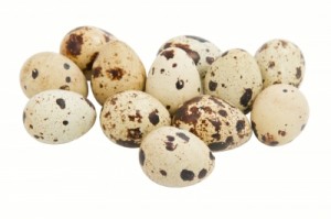 oeufs de caille anti-allergie naturel