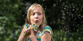 En finir avec le rhume des foins soigner les allergies avec les médecines naturelles