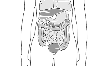 Quand le ventre va, tout va ! la santé du système digestif