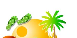 Les huiles essentielles de l’été les huiles essentielles de l'été