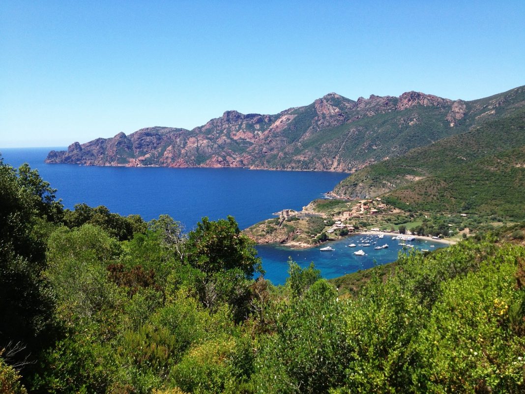 les plantes de Corse les plantes de Corse