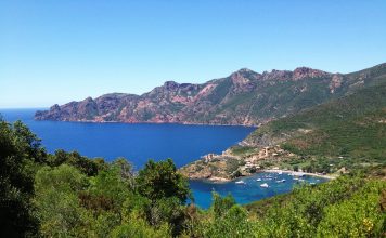 Les bonnes plantes de Corse les plantes de Corse