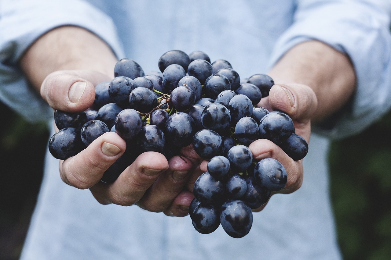 raisins riches en minéraux et vitamines