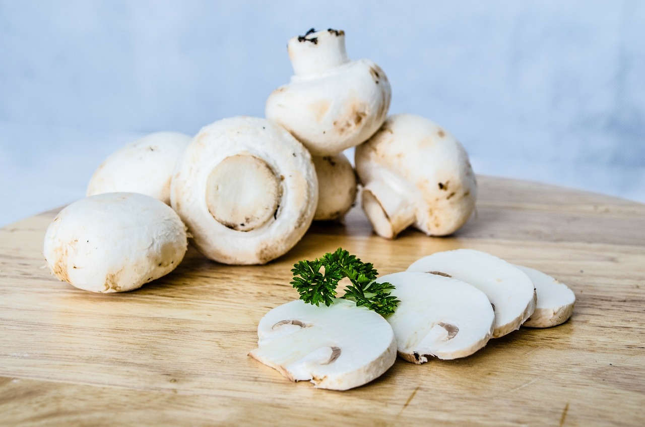 les champignons sont très riches en protéines