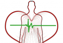 Pour votre santé vasculaire : la taxifoline santé cardio-vasculaire