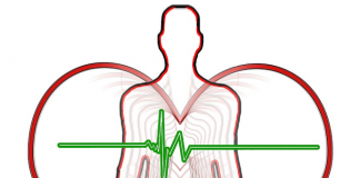 Pour votre santé vasculaire : la taxifoline santé cardio-vasculaire