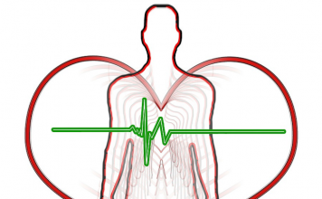 Pour votre santé vasculaire : la taxifoline santé cardio-vasculaire